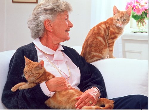 Ältere Dame mit zwei Katzen