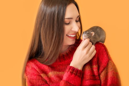 IVH_Frau_mit_Ratte_auf_der_Schulter